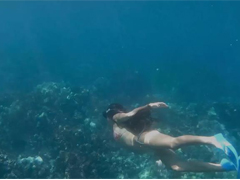 <b>SL-100多功能水下攝錄機(jī)器人東海某潛水娛樂項(xiàng)目</b>